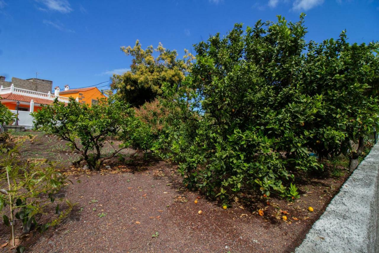 Moya  Casa Marjoes - 2 Villas - Bbq - Communal Pool מראה חיצוני תמונה